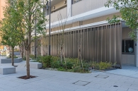 Brillia THE TOWER TOKYO YAESU AVENUEのフォトギャラリー：外構