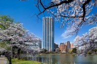 Brillia Tower 上野池之端のフォトギャラリー：外観東面（不忍池より）