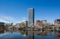 Brillia Tower 上野池之端のフォトギャラリー：外観北東面（不忍池より）