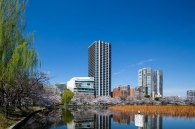 Brillia Tower 上野池之端のフォトギャラリー：外観南東面（不忍池より）