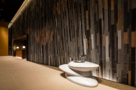 Brillia Tower 上野池之端のフォトギャラリー：エントランスホール