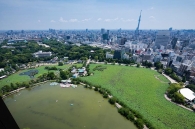 Brillia Tower 上野池之端のフォトギャラリー：スカイテラスからの眺望