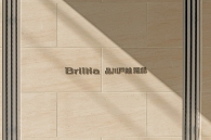 Brillia 品川戸越 耀邸のフォトギャラリー：エントランス