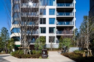 Brillia Tower 代々木公園 CLASSYのフォトギャラリー：南側植栽