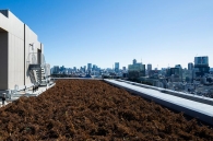 Brillia Tower 代々木公園 CLASSYのフォトギャラリー：屋上緑化