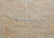 Brillia 大山 Park Frontのフォトギャラリー：エントランス