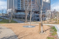 Brillia Towers 目黒のフォトギャラリー：外構