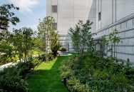 Brillia 夙川のフォトギャラリー：中庭