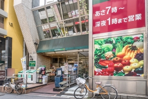 Brillia 神楽坂idの周辺施設：マルエツプチ飯田橋店