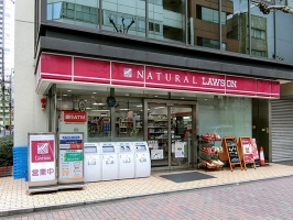 Brillia 銀座idの周辺施設：ナチュラルローソン銀座２丁目店