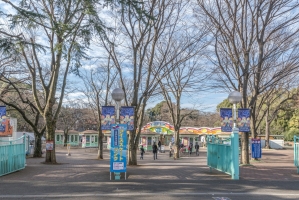 ニューハイツ豊島園の周辺施設：としまえん