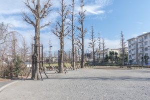 ニューハイツ豊島園の周辺施設：練馬区立いちょう公園