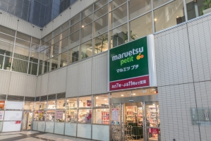 エアライズタワーの周辺施設：マルエツプチ東池袋駅前店
