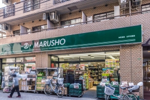 Brillia 小日向一丁目 の周辺施設：丸正江戸川橋店