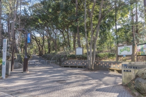 グランヴェール目黒の周辺施設：林試の森公園