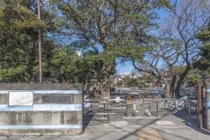 ロワ・ヴェール学芸大学の周辺施設：清水池公園