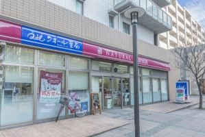 ザ・豊洲タワーの周辺施設：ナチュラルローソン豊洲三丁目店