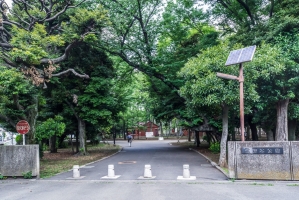 Brillia 目黒東山 の周辺施設：世田谷公園
