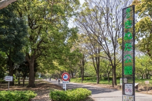 Brillia 桜新町id の周辺施設：砧公園