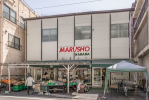 Brillia 外苑出羽坂 の周辺施設：丸正若葉店