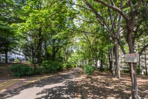 Brillia 新宿余丁町 の周辺施設：戸山公園