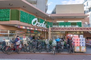 グランヴェール南雪谷の周辺施設：オオゼキ雪谷店