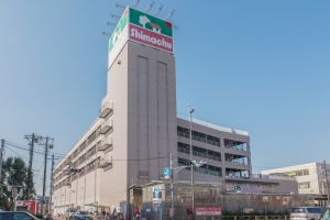 ディートリア アイリットスクエアの周辺施設：島忠大田千鳥店