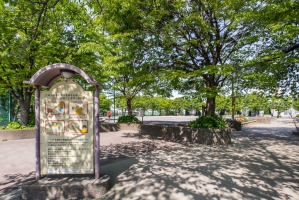 Brillia 新宿中落合の周辺施設：落合中央公園