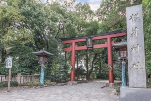 アールヴェール根津弥生坂の周辺施設：根津神社