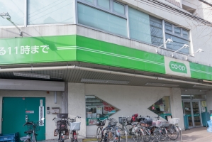 アールヴェール文京白山の周辺施設：コープ白山店