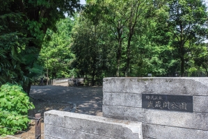 Brillia 関町北 の周辺施設：武蔵関公園