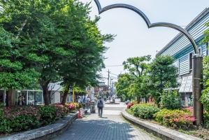 Brillia 品川中延 の周辺施設：立会川緑地