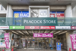 アールヴェール練馬高野台の周辺施設：ピーコックストア高野台店