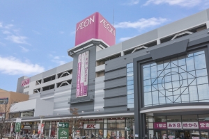 エムステージ・イースティアの周辺施設：イオン南砂店