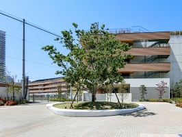 Brillia Mare 有明 TOWER&GARDENの周辺施設：江東区立有明西学園