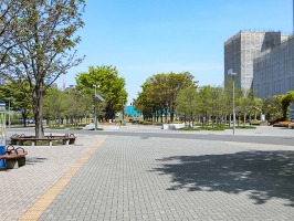 Brillia Mare 有明 TOWER&GARDENの周辺施設：東京臨海広域防災公園