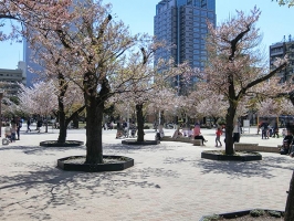 Brillia Tower TOKYOの周辺施設：錦糸公園