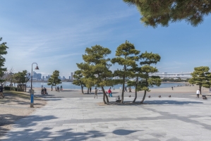 ザ・タワーズ台場の周辺施設：お台場海浜公園