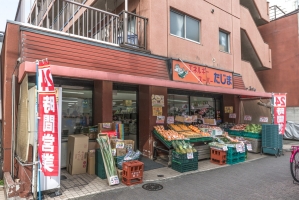 エスタガーデンの周辺施設：エネルギースーパーたじま押上店
