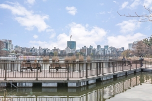 ルネッサンスタワー上野池之端の周辺施設：不忍池