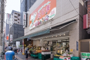 Brillia 旧古河庭園の周辺施設：エネルギースーパーたじま駒込店