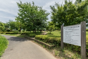 Brillia 大島小松川公園の周辺施設：都立大島小松川公園