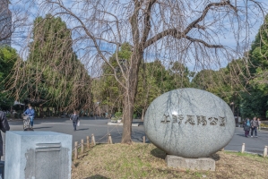 東建シティハイツ上野の周辺施設：上野恩賜公園