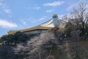 東建ニューハイツ九段の周辺施設：日本武道館