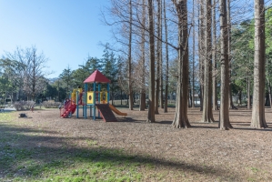 東建ニューハイツ赤塚公園の周辺施設：都立赤塚公園