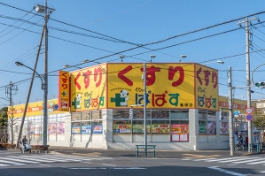 東建ニューハイツ西新井の周辺施設：どらっぐぱぱす島根店