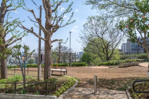 アールヴェール横濱台町の周辺施設：台町公園