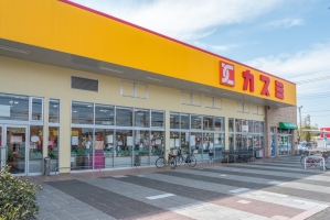 プランヴェール越谷の周辺施設：カスミ東越谷店
