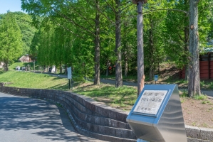 プランヴェール入間武蔵野の周辺施設：あけぼの子どもの森公園