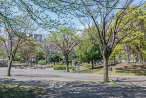 プランヴェール東神奈川の周辺施設：反町公園